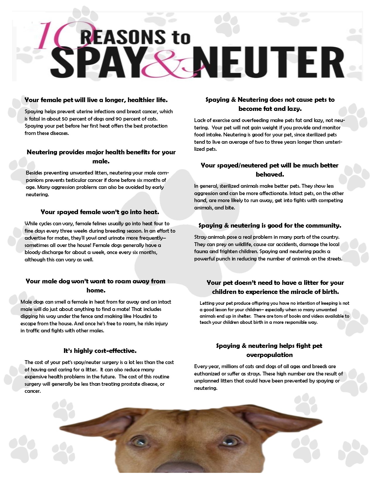 Spay \u0026 Neuter | FTTF