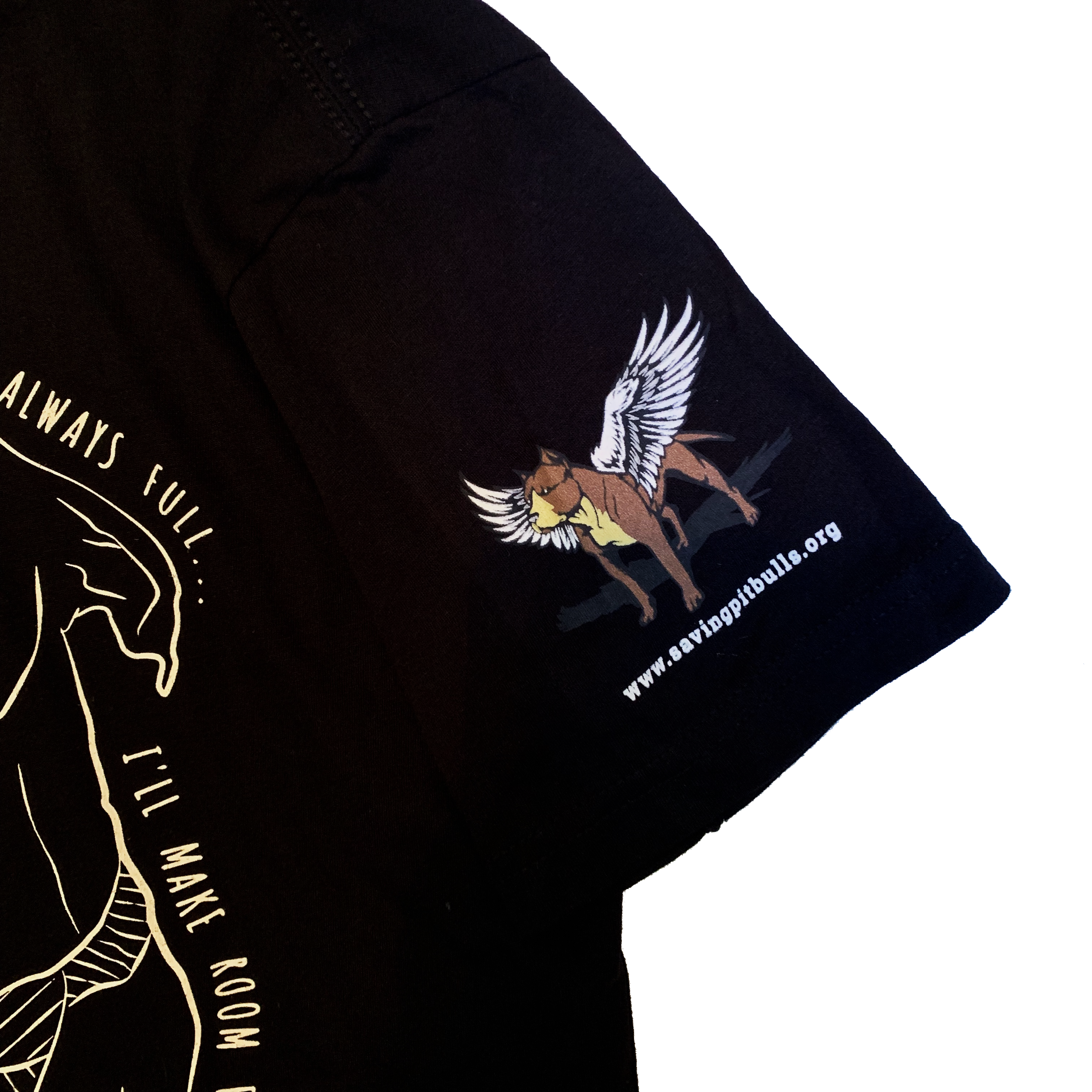 10-Year-Anniversary-SS-Sleeve